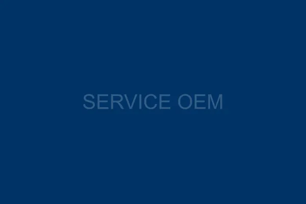 OEM / ODM Manufacturing